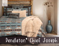 Chief Joseph