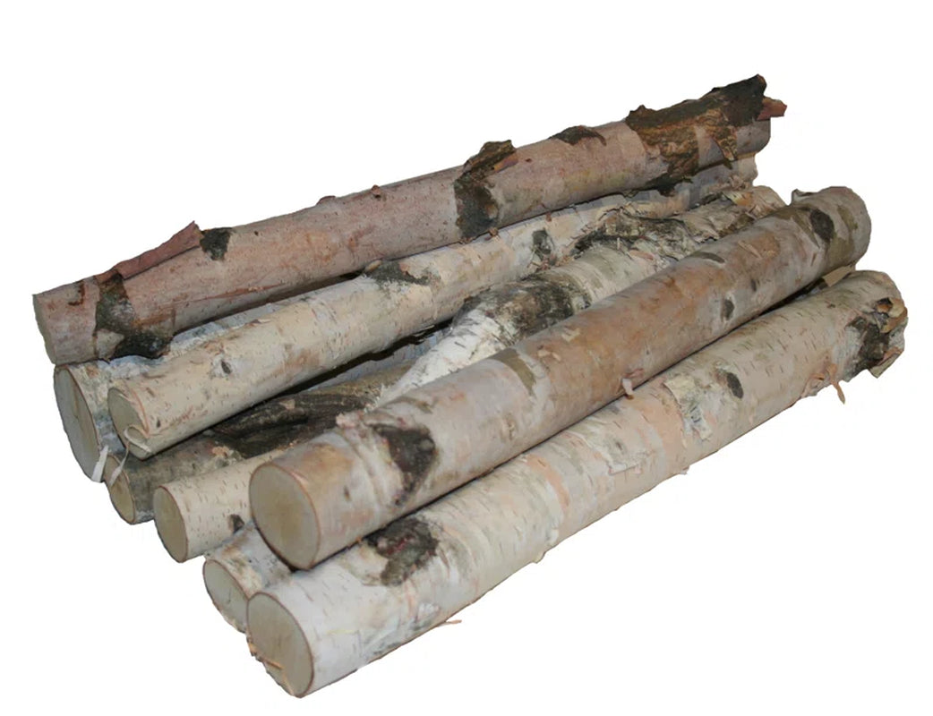 Wilson Decorative White Birch Log Bundle, Natural Bark Wood Home Décor