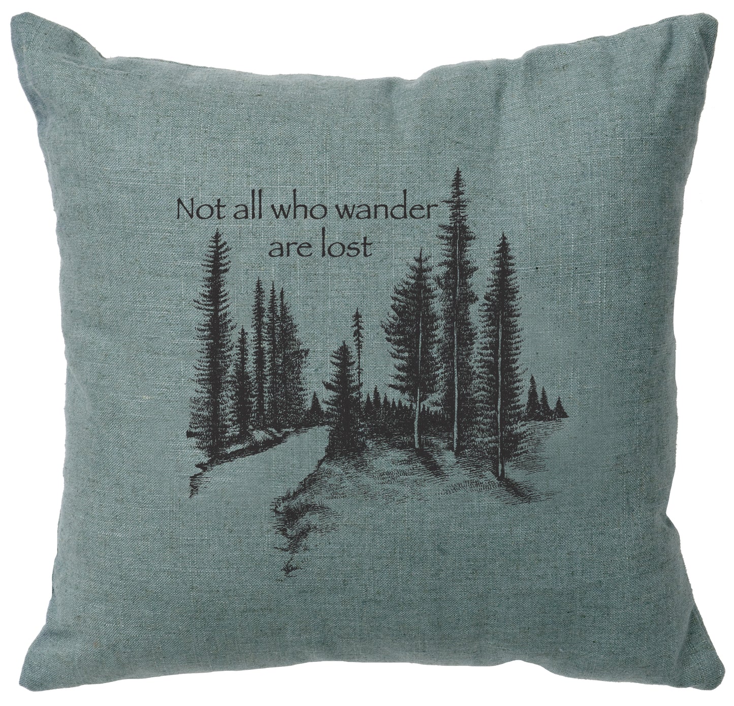 "Wander" Image Pillow - Linen Ocean